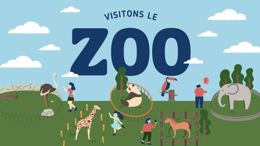 billetterie parc APCH